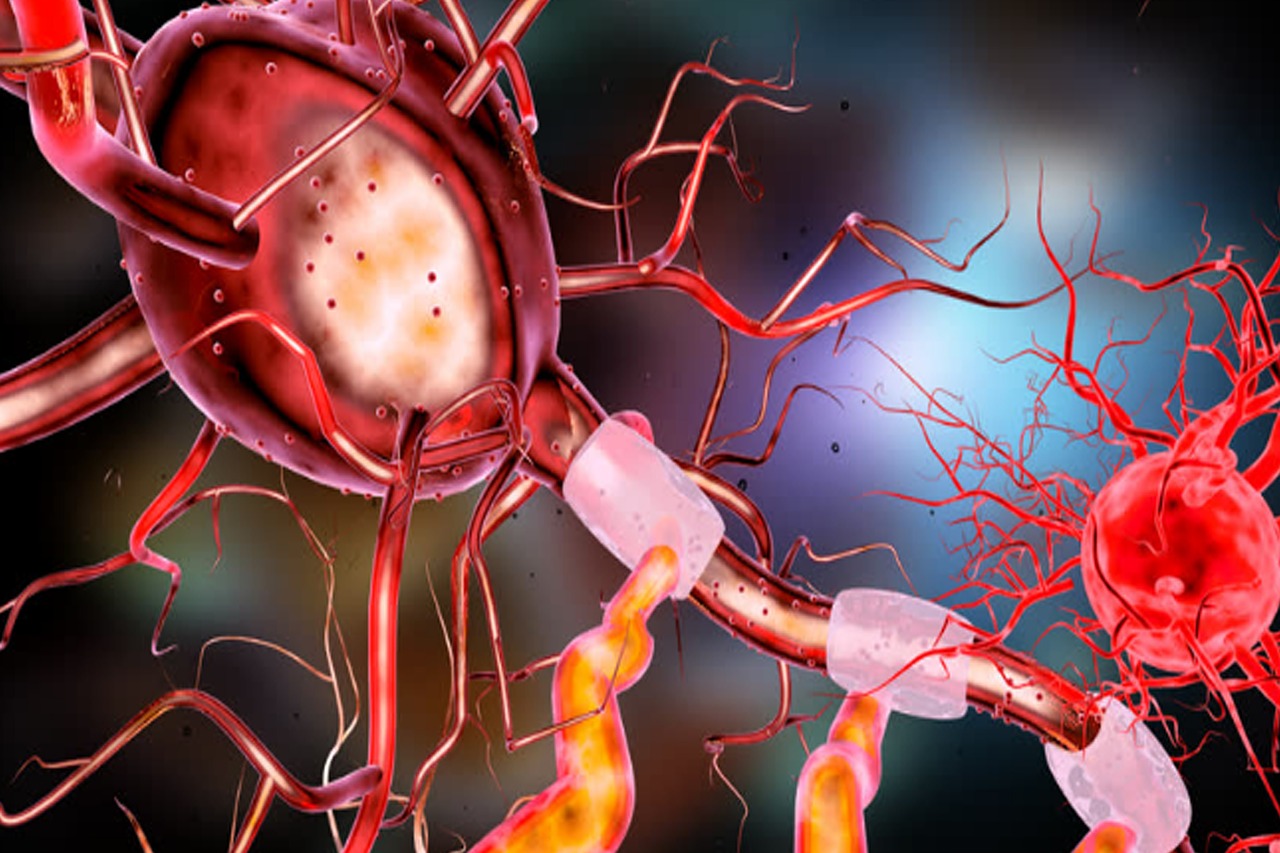 Araştırmacılar İnsanlara Özgü Yeni Bir Beyin Hücresi Tespit Etti