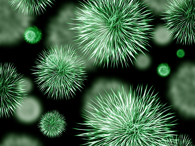 Hayatta Kalmak İçin Zombi Moduna Geçen Bakteriler