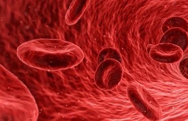 Biyolojik Olarak Parçalanabilen Kan Akışı Sensörü 