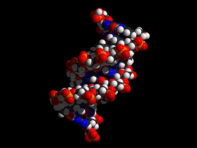 DNA “Süper Güçlendiricileri” Endometriozis Tedavisinin Yeni Hedefi