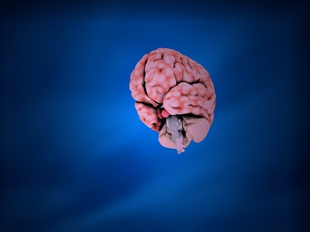 3D Beyin Organoidleri Nadir Görülen Nöronal Hastalıkları Modelliyor
