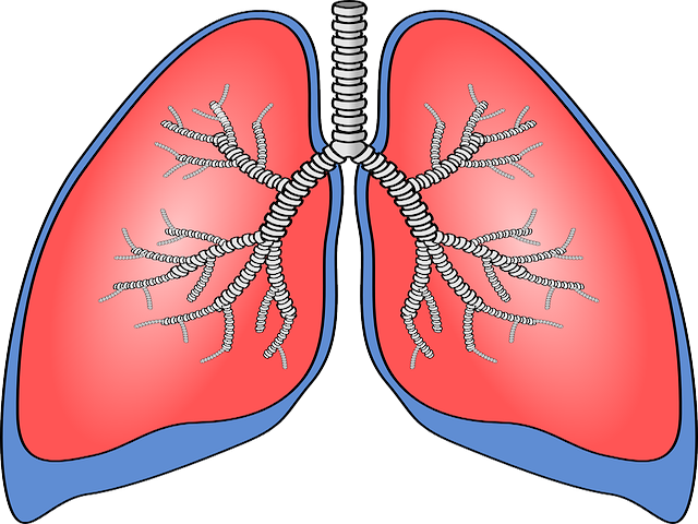 Grafen Biyosensörler Akciğer Kanserini Tespit Edebilecek