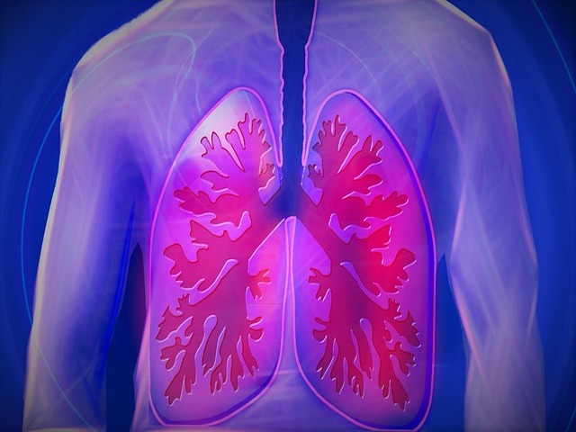 Hücre Kültür Sistemi, Akciğer Hareketinin Kanser Metastazları Üzerindeki Etkilerini Taklit Ediyor