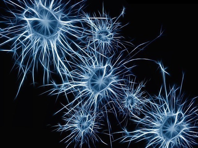 Binlerce Hücrenin Nöron Ağı Aktivitesini İnceleyen Nanoelektrot Çip