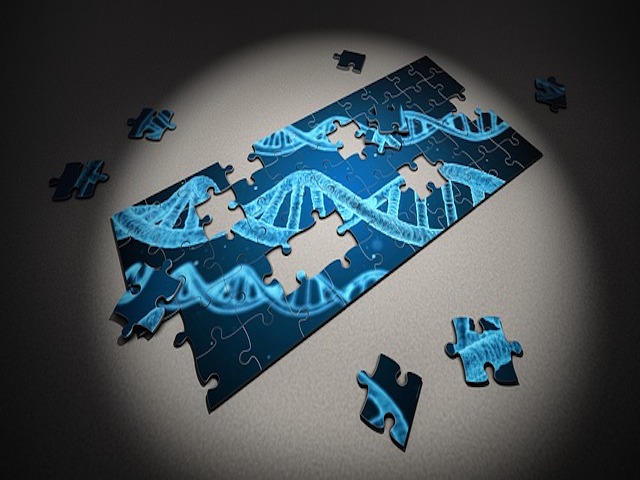 İki Temel DNA Onarım Sistemimizden Biri Kusursuz Çalışıyor