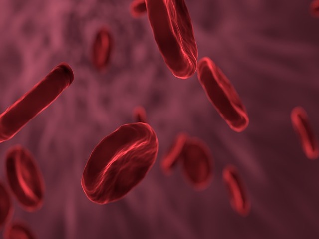 Kırmızı Kan Hücrelerinin Akciğer Metastazına Bağışıklık Yanıtı Nanoparçacıklar