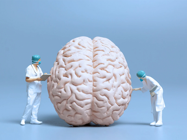 Alzheimer Hastalığı Olan Beynin Moleküler Yapısı