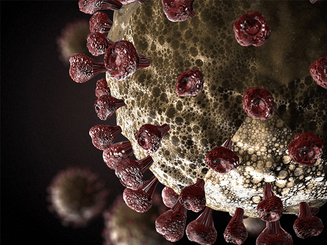 Anti-COVID Nano-Kabarcıklar Viral Tuzaklar Olarak Hareket Ediyor
