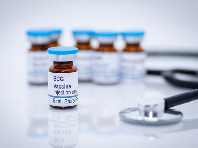 BCG Tüberküloz Aşısının Bağışıklık Üzerindeki Etkileri