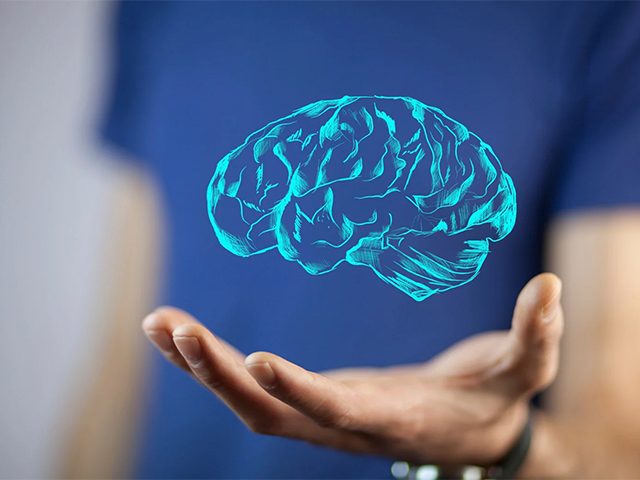 Serebrovasküler Hastalık ve Alzheimer Hastalığının Yaşlı Yetişkinlerde Beyin Fonksiyonlarına Etkileri