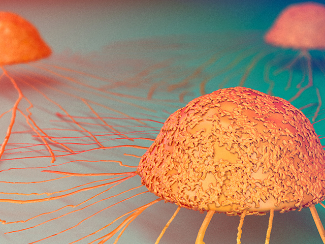 Kanser Hücrelerinin Bağışıklık Sisteminden Kaçmak için Beklenmedik Genetik Hileleri