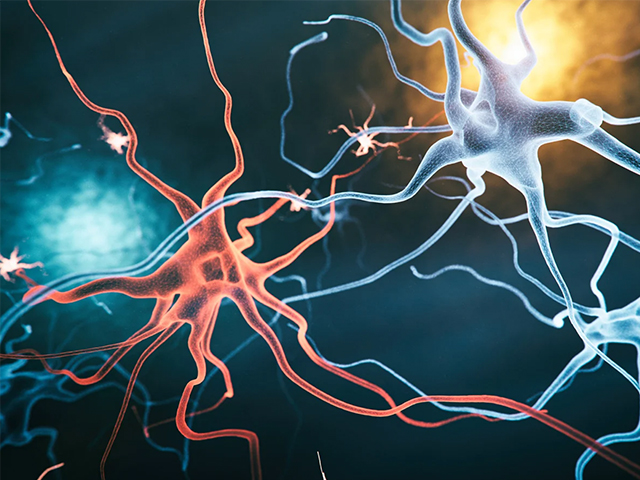 Genetiği Değiştirilmiş Mikroglialar Alzheimer ve Diğer Beyin Hastalıkları için Umut Vaat Ediyor