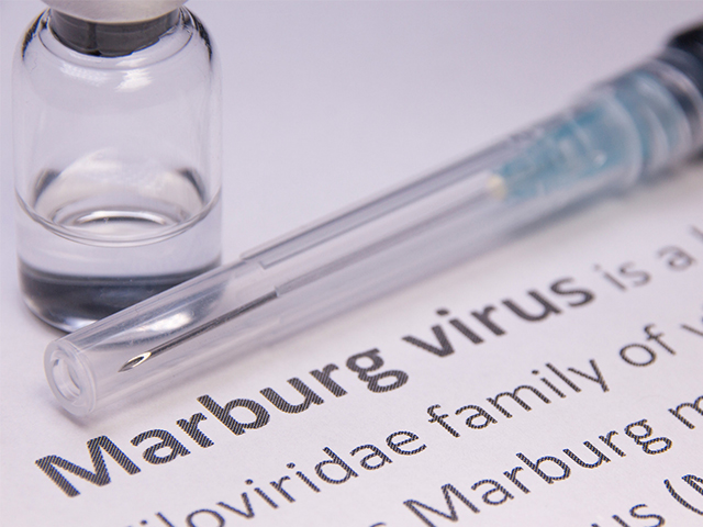 Gana İlk Ölümcül Marburg Virüsü Vakalarını Doğruladı