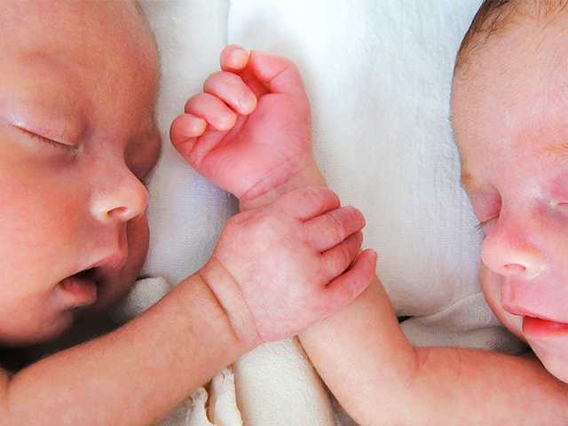 Nadir Görülen Bir Vaka: MoMo İkizleri