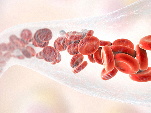 COVID-19 Aşısı için Modifiye Kırmızı Kan Hücreleri