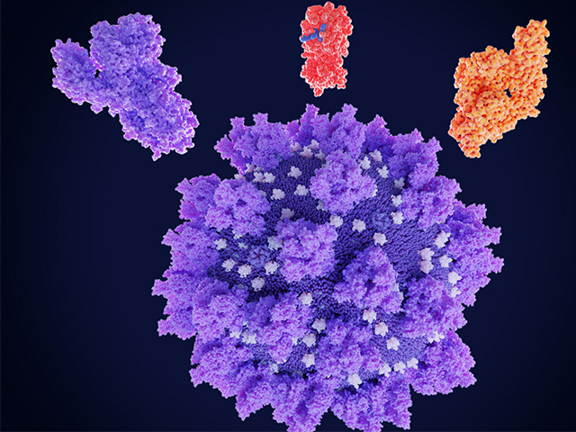 SARS-CoV-2 Spike Proteinini Devre Dışı Bırakan Yüz Maskesi 