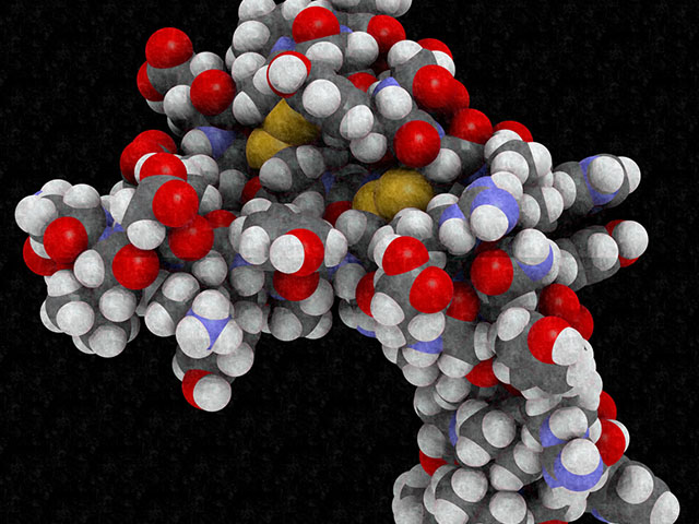 SIRT1 Proteininin Yaşlanma Karşıtı Etkilerinin Arkasındaki Hücresel Mekanizma Çözüldü
