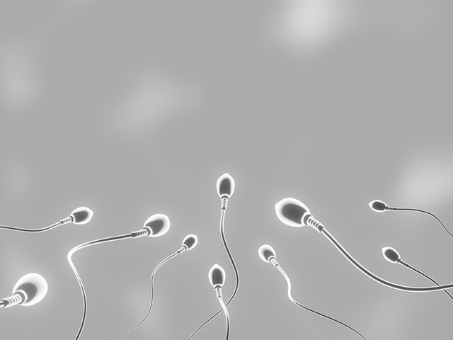 Meni Mikrobiyomu Sağlığı Erkek Doğurganlığını Etkileyebiliyor