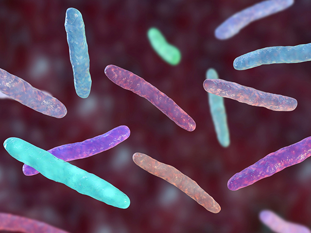 Tüberküloz Bakterisi Tanı Konmamış Semptomları Olan Kişilerin %90'ında Mevcut