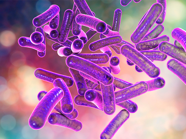 DSÖ Bakteriyel Enfeksiyonların Tedavisinin Zorlaştığı Konusunda Uyarıda Bulundu