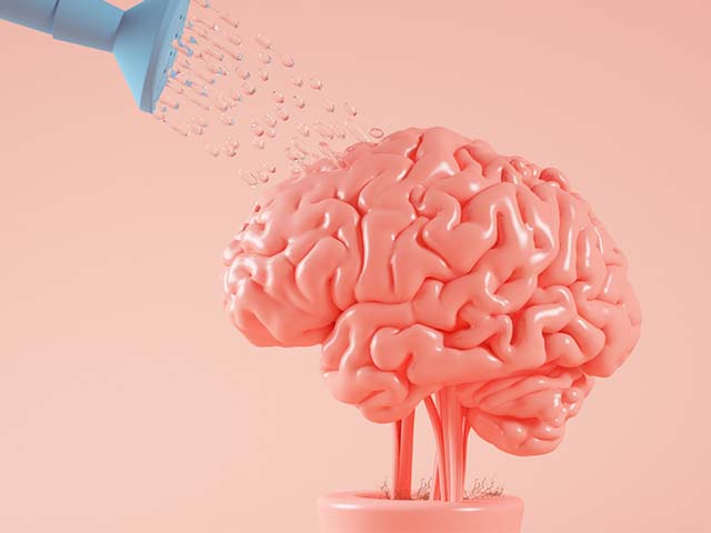 Beyin Gelişiminin Sırlarını Ortaya Çıkarmak için Araştırma ve Klinik Bakımı Entegre Etmek