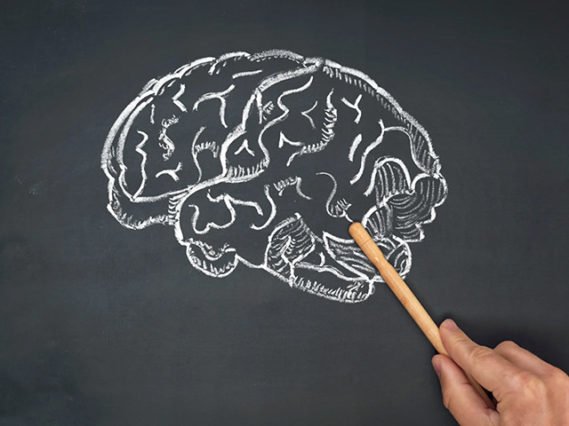 Alzheimer Riskinin Başlangıcı Beynin Sınırında Olabilir