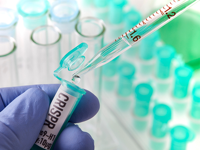 Tümörleri Tespit Eden CRISPR Donanımlı Bakteriler