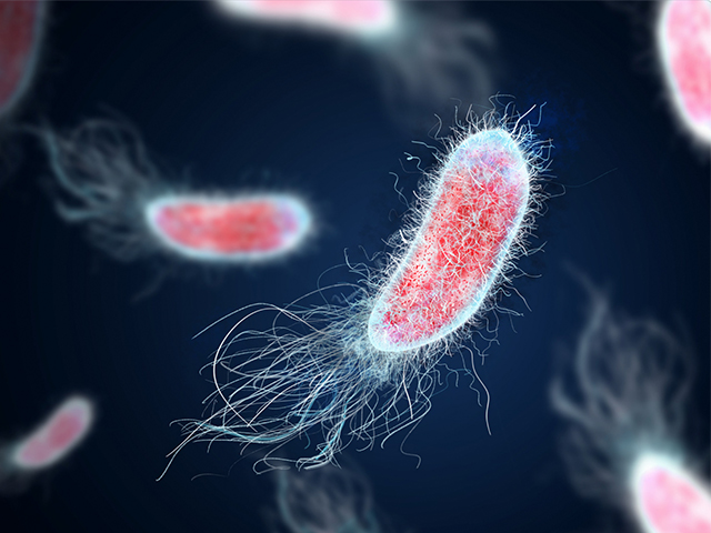 Küresel Isınma Nedeniyle Ölümcül Bakteriyel Enfeksiyonlarda Artış