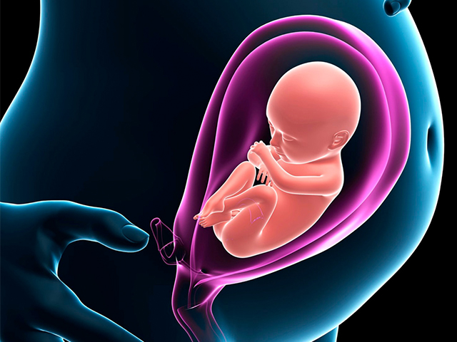 Hamilelikte Glifosata Yüksek Oranda Maruz Kalmak Bebeklerin Gelişimini Etkileyebilir