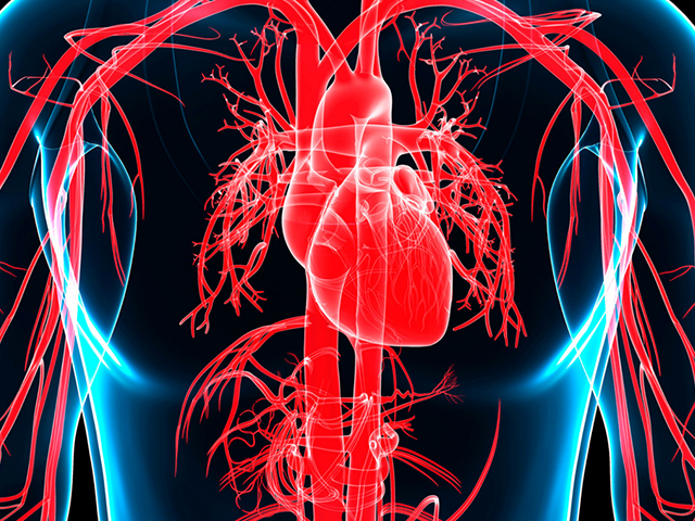 Kalp yetersizlikli hastalarda yaşam kalitesi ve umutsuzluk düzeylerinin belirlenmesi