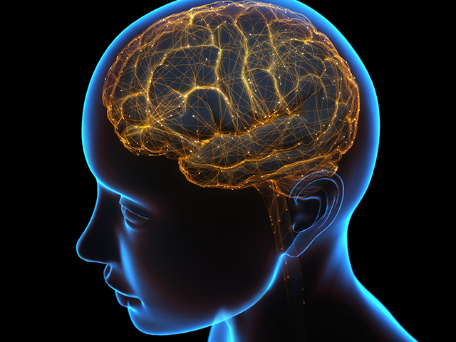 Bilim İnsanları Beynin Anıları Nasıl İlişkilendirdiğini Tanımlıyor