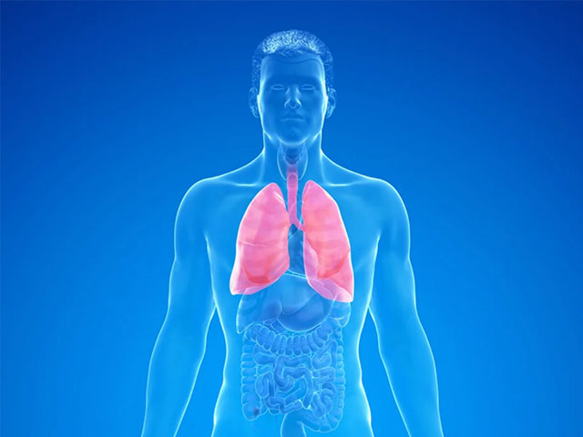 Akciğer Fibrozu İlacının Biyolojik Yaş Tahminlerini Düşürdüğü Saptandı