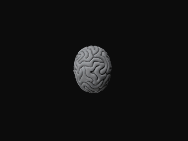 Laboratuvarda Oluşturulan Mini Beyinler