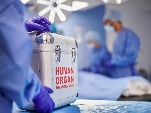 Organ Nakli Reddi Önlemede Yeni Umut: Doğuştan Gelen Bağışıklık Sisteminin Doğal Freni Keşfedildi
