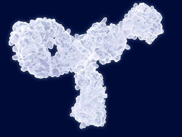 Proteinler Plazma Hücrelerini Uzun Süreli Bağışıklık için Kemik İliğine Nasıl Yönlendiriyor?