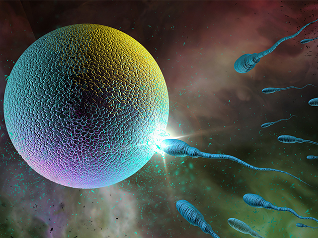 Sürpriz Keşif: Çoğu Hayvanda Sperm Kalitesi Yaşla Birlikte Azalmıyor