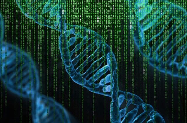 Genetik Bir Mutasyonu Görselleştirebilmek Mümkün Olacak