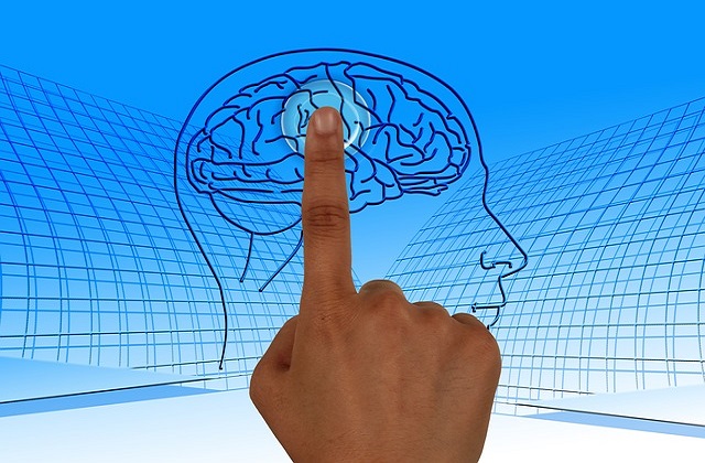 Araştırmacılar Duygusal Aktivitenin Beyin Üzerindeki Etkilerini Gözlemleyebildiler