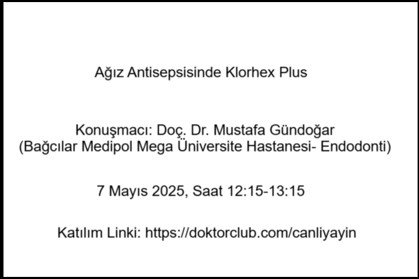 Online Toplantı